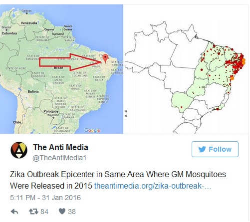 mapa zika - To no Cosmos